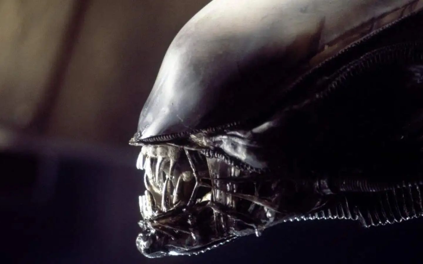 Hunted horror movies where apex predators will stop at nothing to trap and eviscerate their prey!